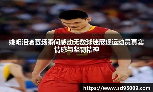 星空·综合体育中国官方网站